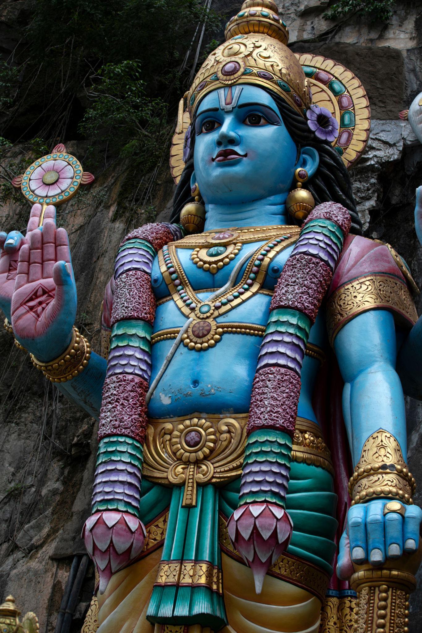 天井の高さが際立つ