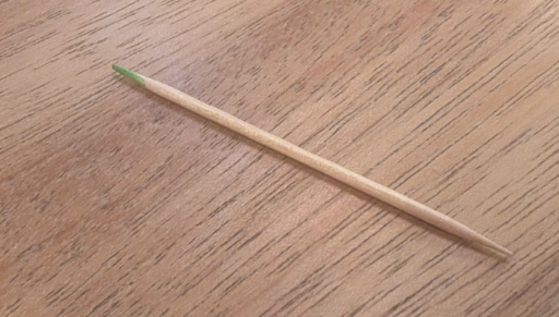 爪楊枝を観察する様子