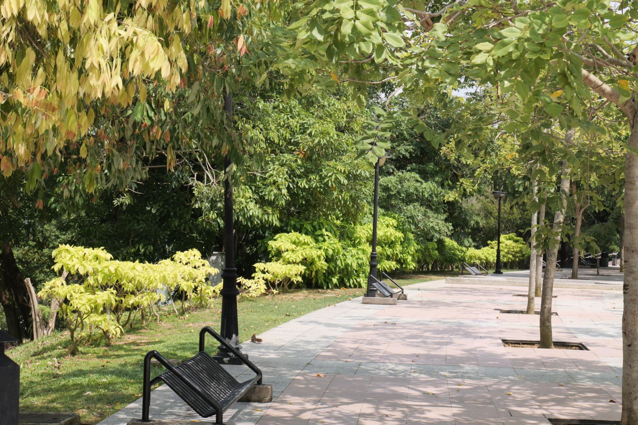 池のほとりのベンチ