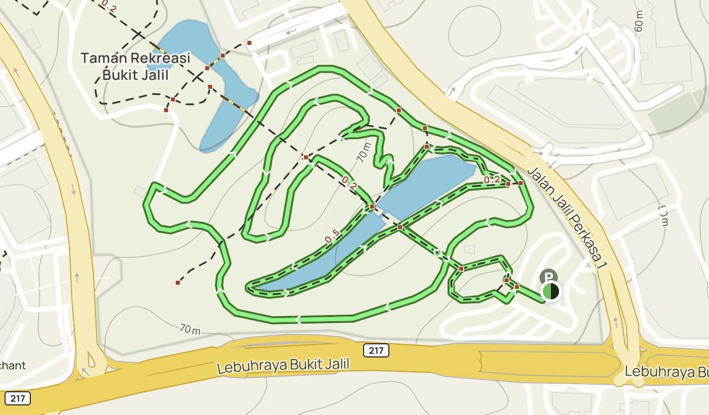 朝の公園の様子