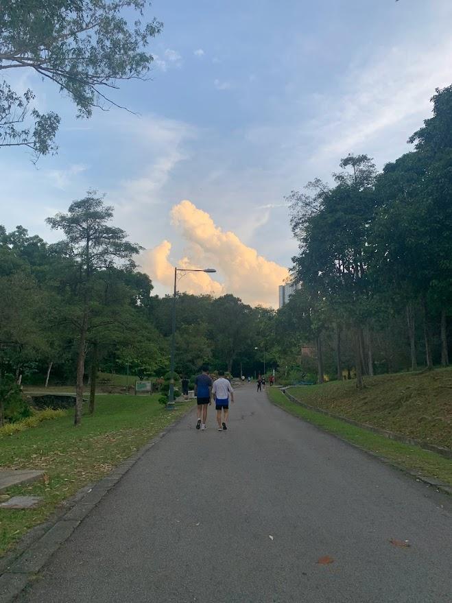 ウォーキングコース