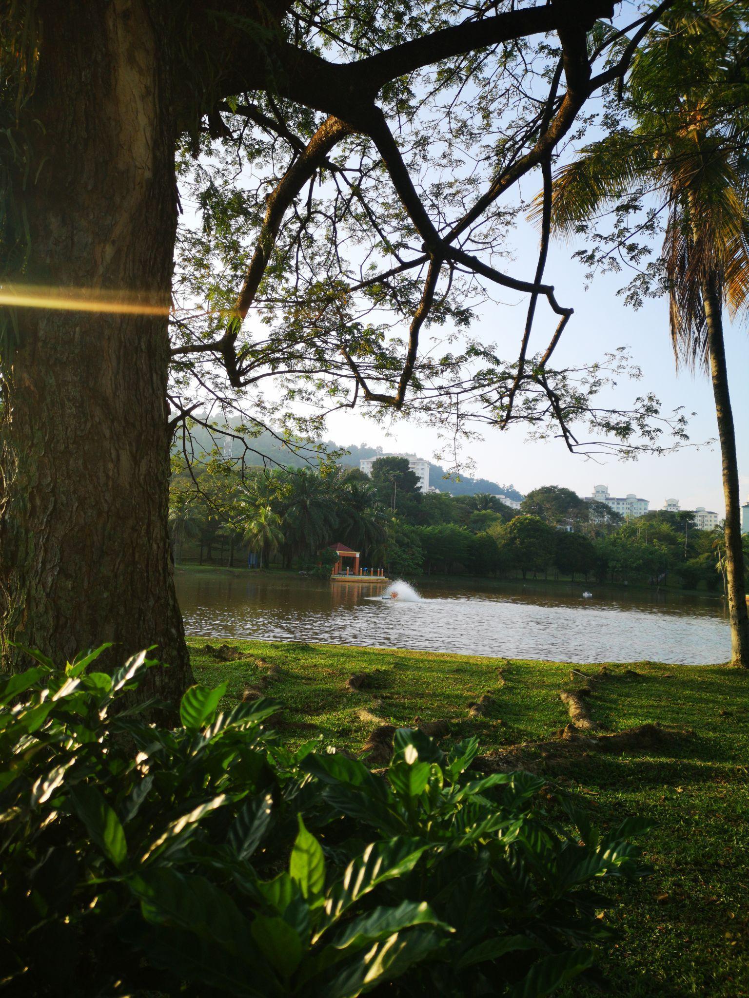 自然豊かな風景