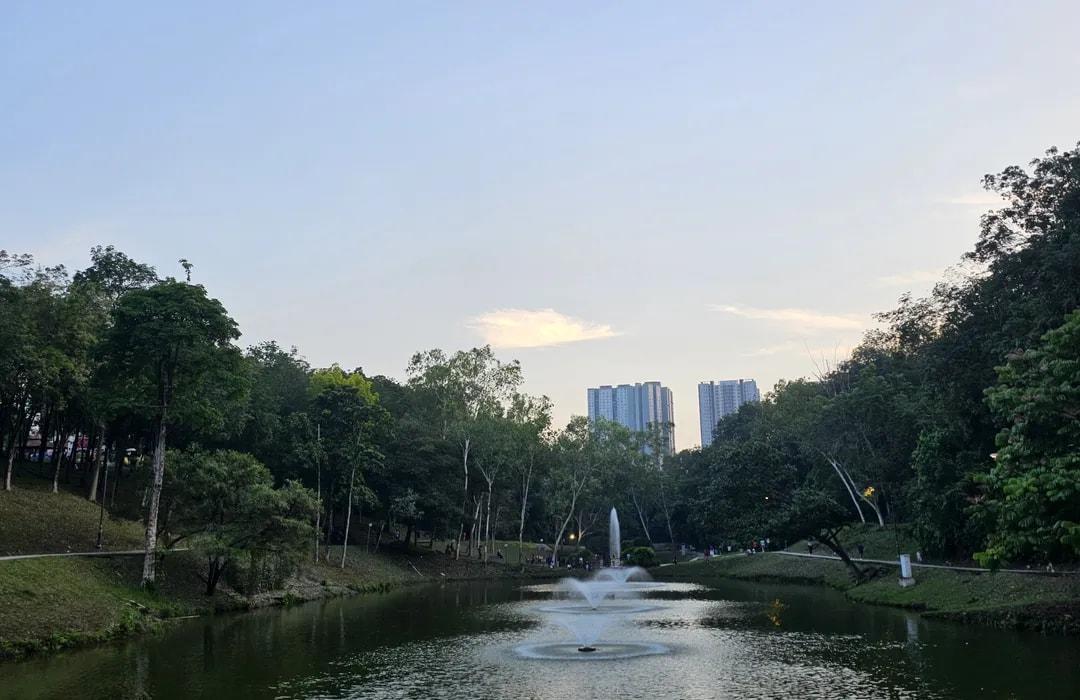 公園の入り口付近