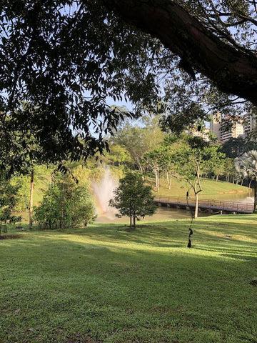 園内の池の景色