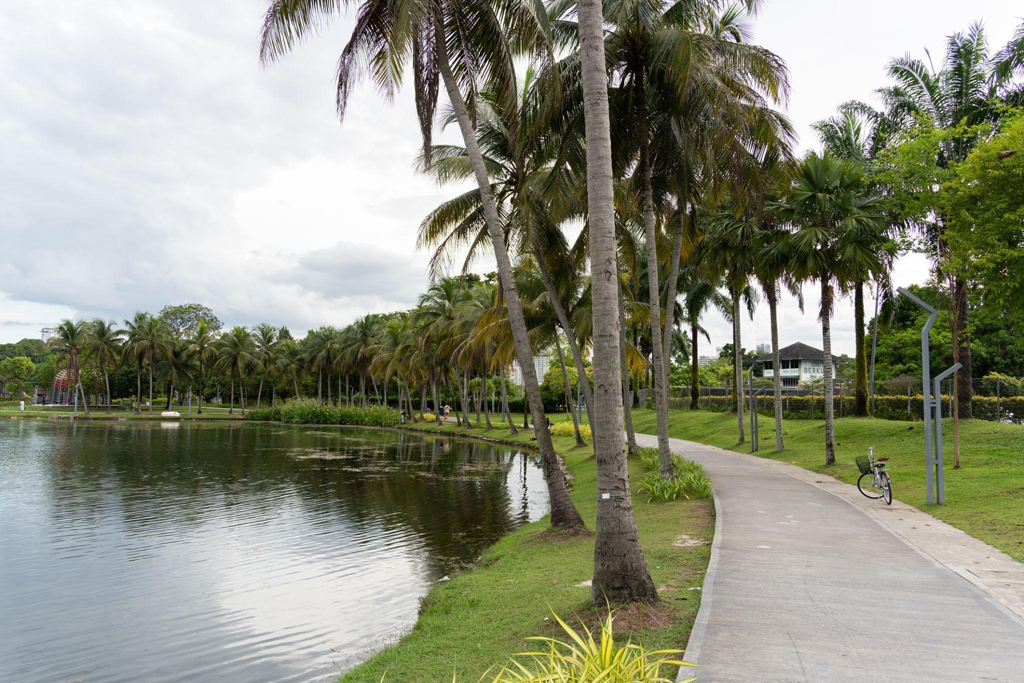 整備された遊歩道