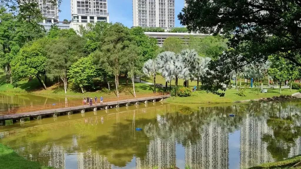 公園の広大な緑