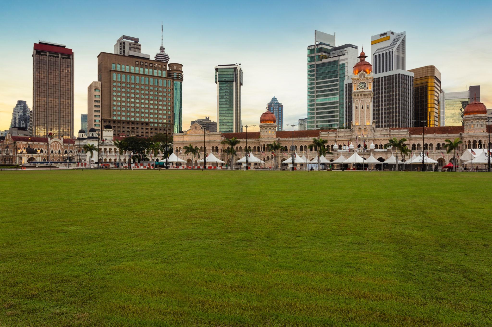 一面に広がる広場の芝生