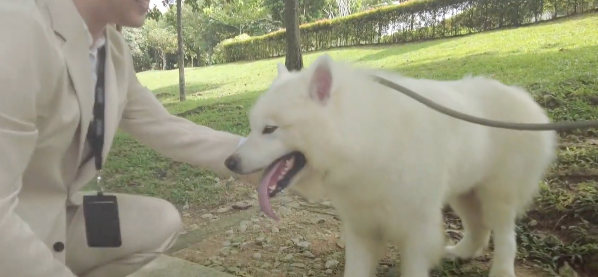 教育環境とペットとの暮らし