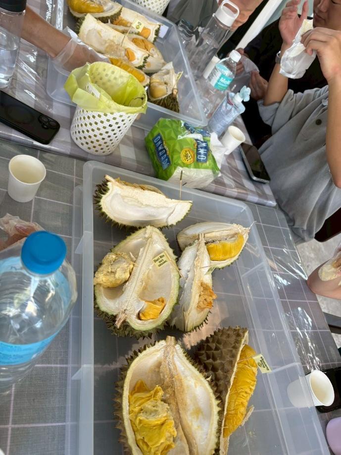 ドリアン食べ比べ2
