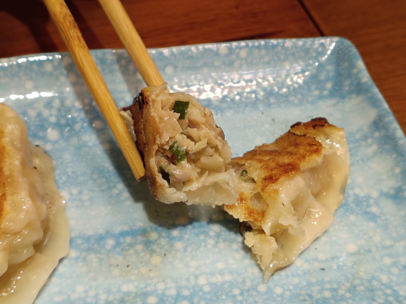 出来立てのハラル餃子