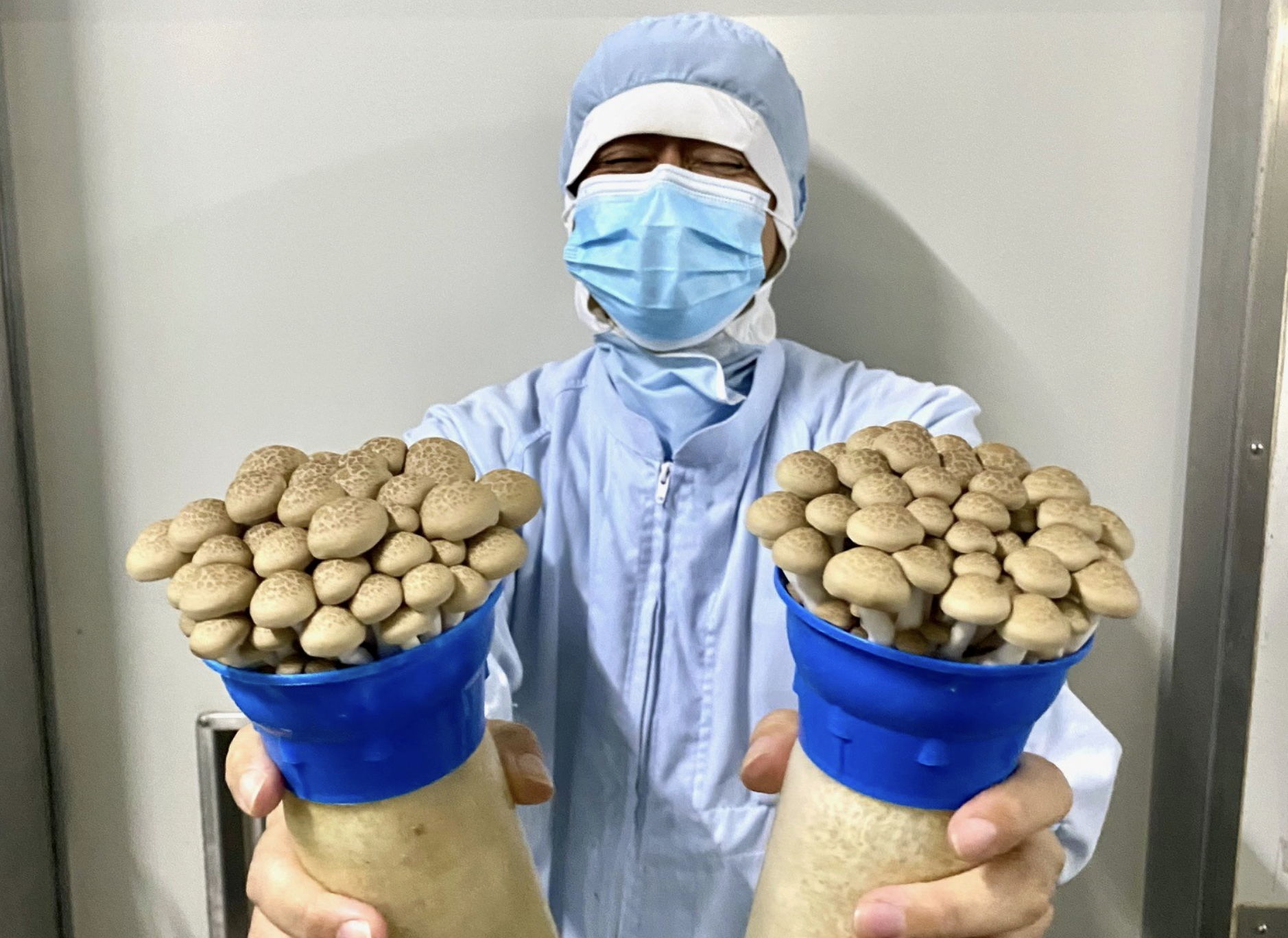 日本品質を、日本人生産者が保証