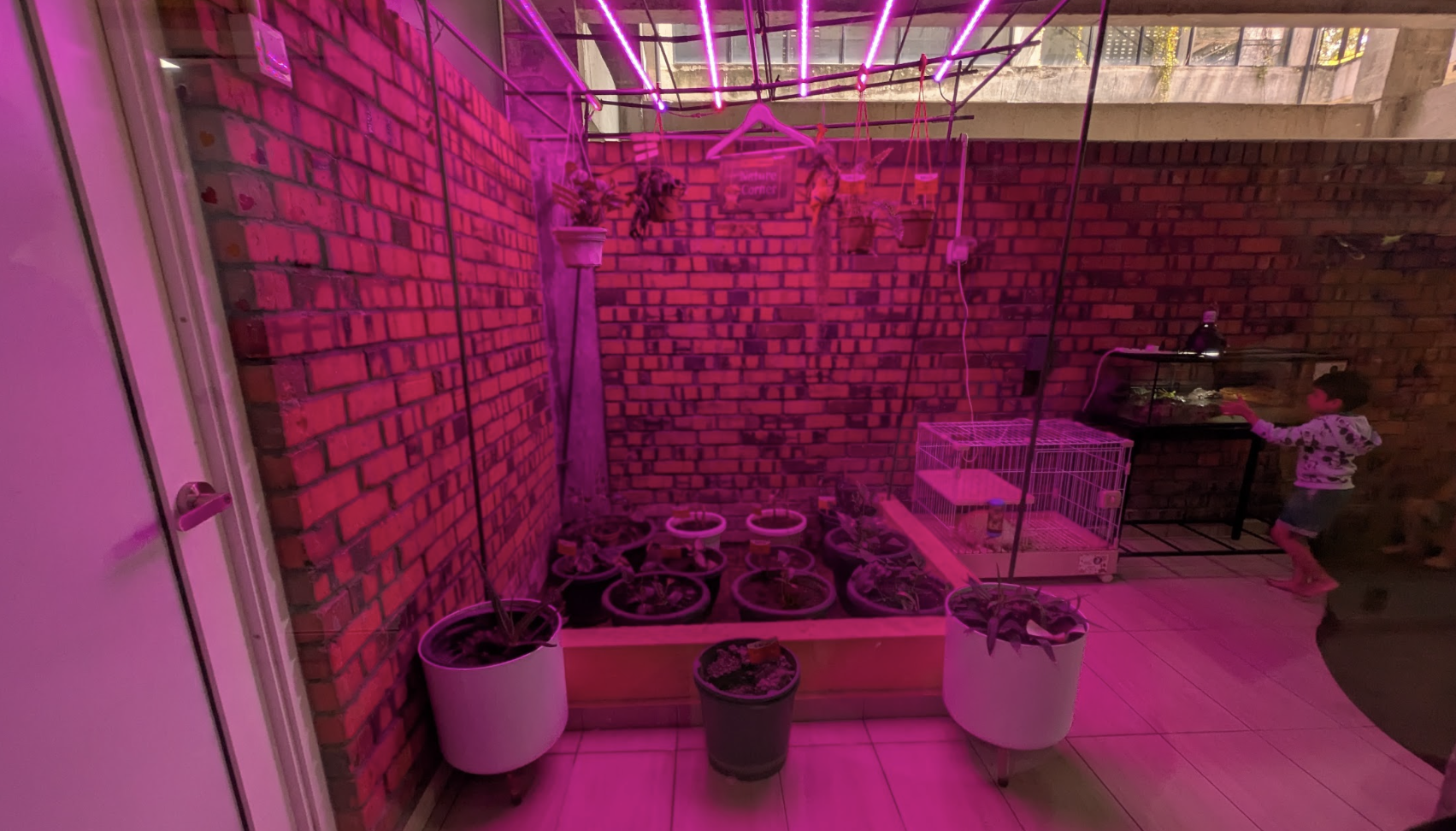 動植物と触れ合う環境